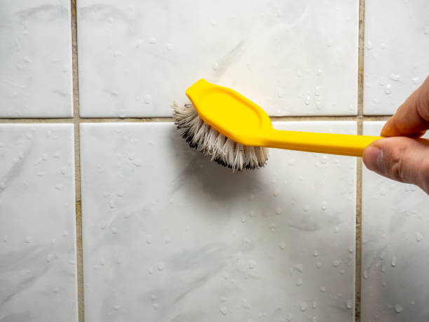 Best Mold Testing  in Fairhope, PA