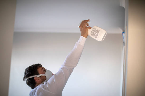 Best Mold Testing  in Fairhope, PA