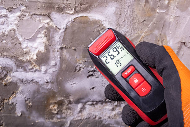 Professional Mold Removal in Fairhope, PA
