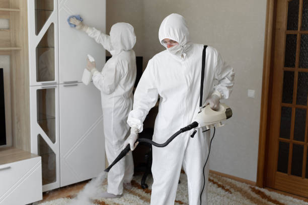 Mold Testing and Removal in Fairhope, PA