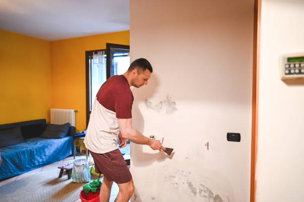 Best Local Mold Removal Service  in Fairhope, PA